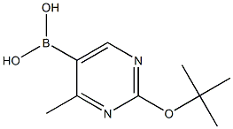 4-Methyl-2-(tert-butoxy)pyrimidine-5-boronic acid Struktur