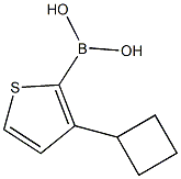 3-(Cyclobutyl)thiophene-2-boronic acid Structure