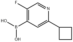 5-Fluoro-2-(cyclobutyl)pyridine-4-boronic acid 结构式