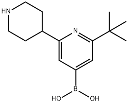 2-(tert-Butyl)-6-(piperidin-4-yl)pyridine-4-boronic acid 化学構造式