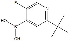 5-Fluoro-2-(tert-butyl)pyridine-4-boronic acid Structure