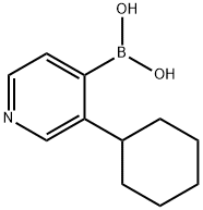 3-(Cyclohexyl)pyridine-4-boronic acid 结构式