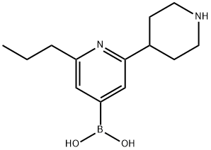 2-(n-Propyl)-6-(piperidin-4-yl)pyridine-4-boronic acid Struktur