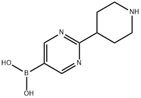 (2-(piperidin-4-yl)pyrimidin-5-yl)boronic acid Struktur