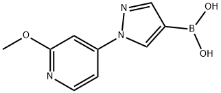 1-(2-Methoxy-4-pyridyl)-1H-pyrazole-4-boronic acid 化学構造式