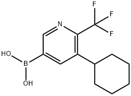 5-Cyclohexyl-6-trifluoromethylpyridine-3-boronic acid Structure