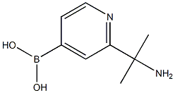 (2-(2-aminopropan-2-yl)pyridin-4-yl)boronic acid Structure