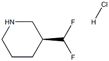 (S)-3-(difluoromethyl)piperidine hydrochloride|