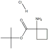 tert-butyl 1-aminocyclobutane-1-carboxylate hydrochloride Struktur