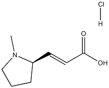 (R,E)-3-(1-methylpyrrolidin-2-yl)acrylic acid hydrochloride 化学構造式