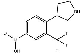 (4-(pyrrolidin-3-yl)-3-(trifluoromethyl)phenyl)boronic acid Struktur