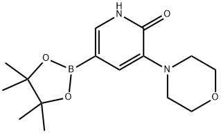 3-morpholino-5-(4,4,5,5-tetramethyl-1,3,2-dioxaborolan-2-yl)pyridin-2(1H)-one 化学構造式