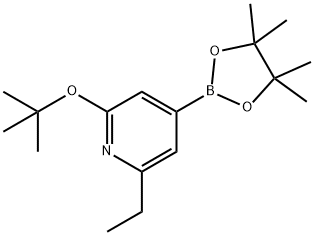 2-(tert-butoxy)-6-ethyl-4-(4,4,5,5-tetramethyl-1,3,2-dioxaborolan-2-yl)pyridine Struktur