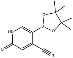 2-hydroxy-5-(4,4,5,5-tetramethyl-1,3,2-dioxaborolan-2-yl)isonicotinonitrile Structure