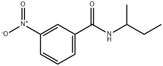 N-(sec-butyl)-3-nitrobenzamide 结构式