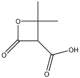 2,2-dimethyl-4-oxooxetane-3-carboxylic acid Structure