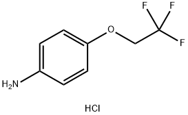 4-(2,2,2-三氟乙氧基)苯胺盐酸盐 结构式