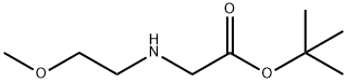 tert-butyl 2-[(2-methoxyethyl)amino]acetate Structure