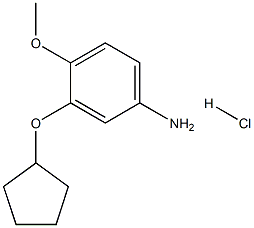 3-(CYCLOPENTYLOXY)-4-METHOXYANILINE HYDROCHLORIDE Structure