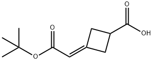 CYCLOBUTANECARBOXYLIC ACID, 3-[2-(1,1-DIMETHYLETHOXY)-2-OXOETHYLIDENE]-|CYCLOBUTANECARBOXYLIC ACID, 3-[2-(1,1-DIMETHYLETHOXY)-2-OXOETHYLIDENE]-