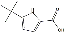 5-tert-butyl-1H-pyrrole-2-carboxylic acid 化学構造式