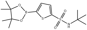 N-(叔丁基)-5-(4,4,5,5-四甲基-1,3,2-二氧硼杂环戊烷-2-基)噻吩-2-磺酰胺, 951233-59-3, 结构式