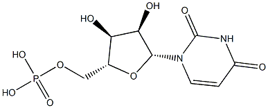 Uridine monophosphate|一磷酸尿苷二钠