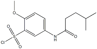 2-methoxy-5-(4-methylpentanamido)benzene-1-sulfonyl chloride