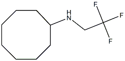  N-(2,2,2-trifluoroethyl)cyclooctanamine