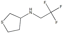 N-(2,2,2-trifluoroethyl)tetrahydrothiophen-3-amine