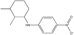 N-(2,3-dimethylcyclohexyl)-4-nitroaniline Structure