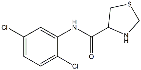 N-(2,5-dichlorophenyl)-1,3-thiazolidine-4-carboxamide 结构式