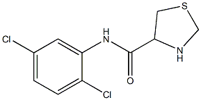  N-(2,5-dichlorophenyl)-1,3-thiazolidine-4-carboxamide