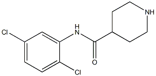 N-(2,5-dichlorophenyl)piperidine-4-carboxamide,,结构式