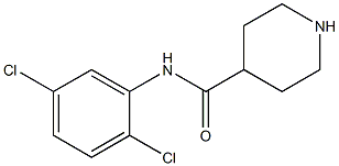 N-(2,5-dichlorophenyl)piperidine-4-carboxamide 化学構造式