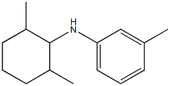 N-(2,6-dimethylcyclohexyl)-3-methylaniline Structure