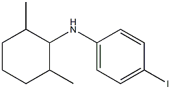  N-(2,6-dimethylcyclohexyl)-4-iodoaniline