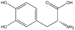  3,4-二羟基-D-苯丙氨酸