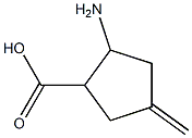 2-amino-4-methylenecyclopentane-1-carboxylic acid,,结构式