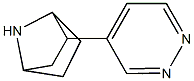 2-(pyridazin-4-yl)-7-azabicyclo(2.2.1)heptane 结构式