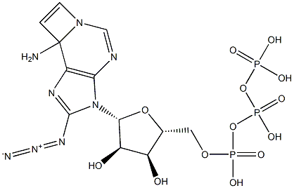 8-azido-1,N(6)-ethenoadenosine triphosphate