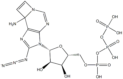  8-azido-1,N(6)-ethenoadenosine triphosphate