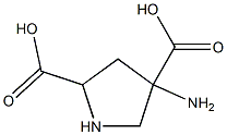 4-aminopyrrolidine-2,4-dicarboxylic acid