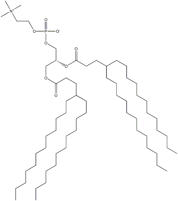 1,2-di(4-dodecyl-palmitoyl)-sn-glycero-3-phosphocholine Struktur