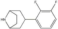 3-(2,3-difluorophenyl)-8-azabicyclo[3.2.1]octane,,结构式