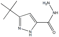 3-TERT-BUTYLPYRAZOLE-5-CARBOXYLIC ACID HYDRAZIDE,,结构式