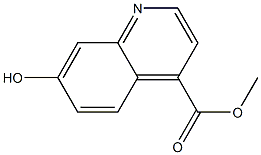  7-Hydroxy-quinoline-4-carboxylic acid methyl ester