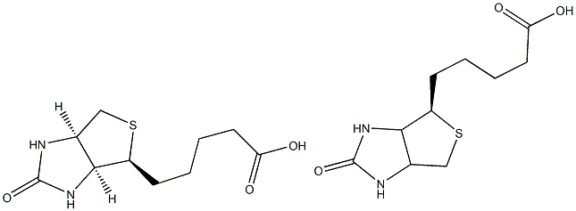 D-biotin (vitamin H) Structure