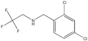 [(2,4-dichlorophenyl)methyl](2,2,2-trifluoroethyl)amine|