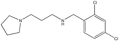 [(2,4-dichlorophenyl)methyl][3-(pyrrolidin-1-yl)propyl]amine Structure